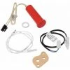 Buderus Glühzünder Komplett Inkl. Adapter Passend Für GB112 / GB142 7099006 -BUDERUS GESCHÄFT 5631816 1